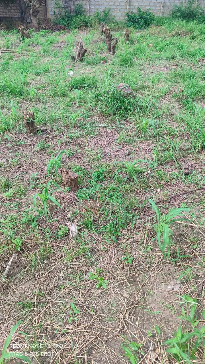 4 Plot of Land for Sle Ridge Airpot