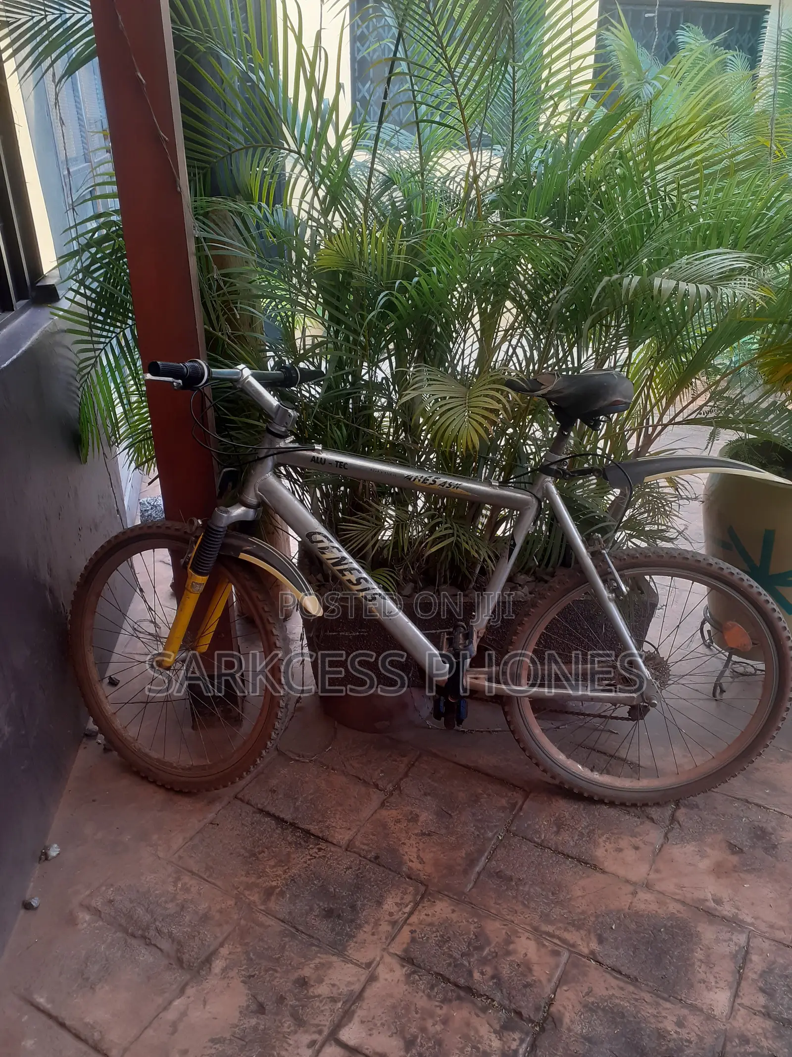 Bicycle Gray