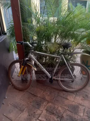Bicycle Gray