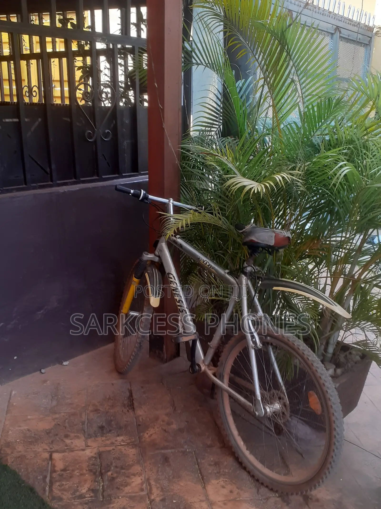 Bicycle Gray