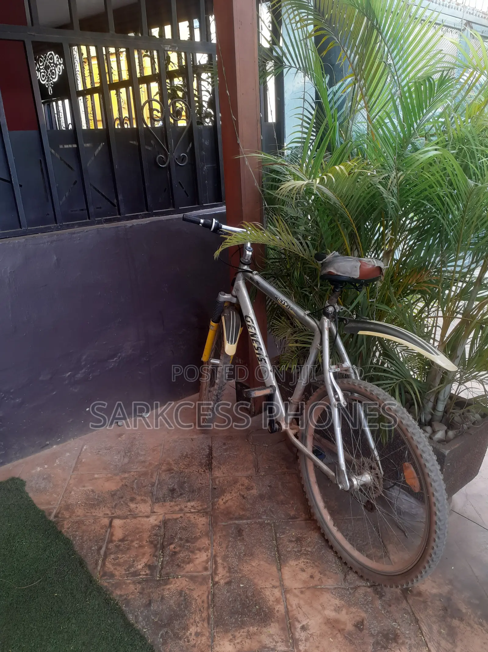 Bicycle Gray
