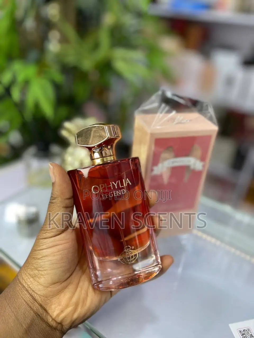 Ophylia Perfume