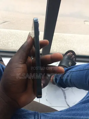 Apple iPhone 12 Pro 256 GB Blue
