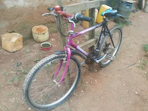 Motorcycle 2024 Purple