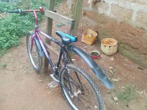 Motorcycle 2024 Purple