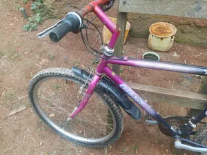 Motorcycle 2024 Purple