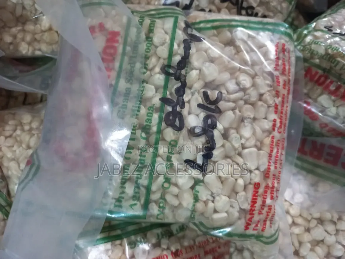 Maize Seed Obatampa