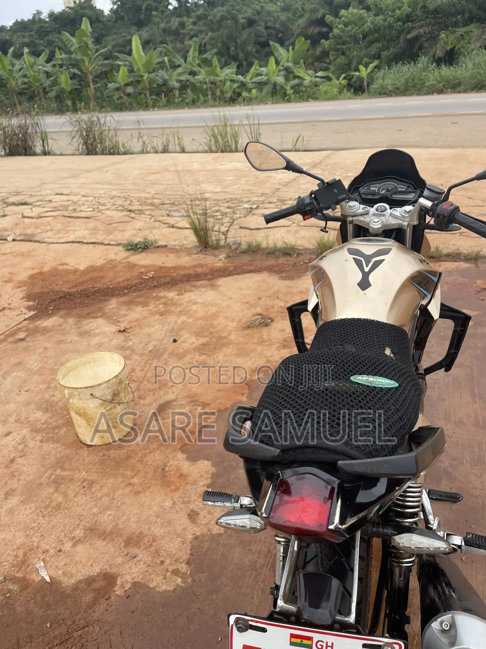 Apsonic 170 Zone One 2023 Gold