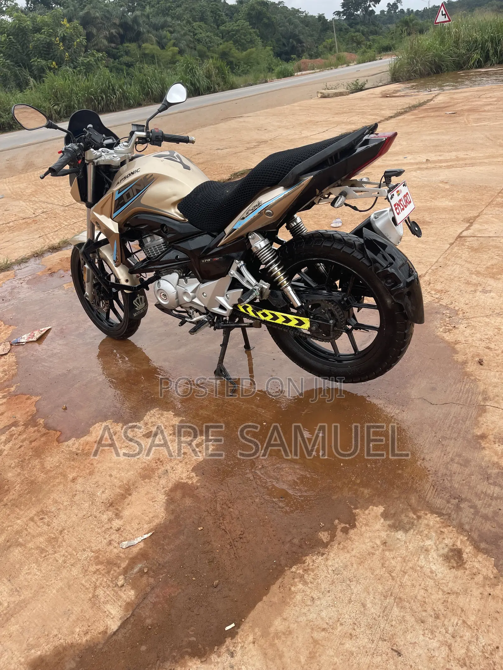 Apsonic 170 Zone One 2023 Gold