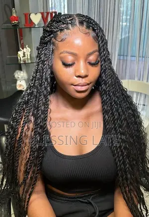Twist Braids Hairstyle / Home Service