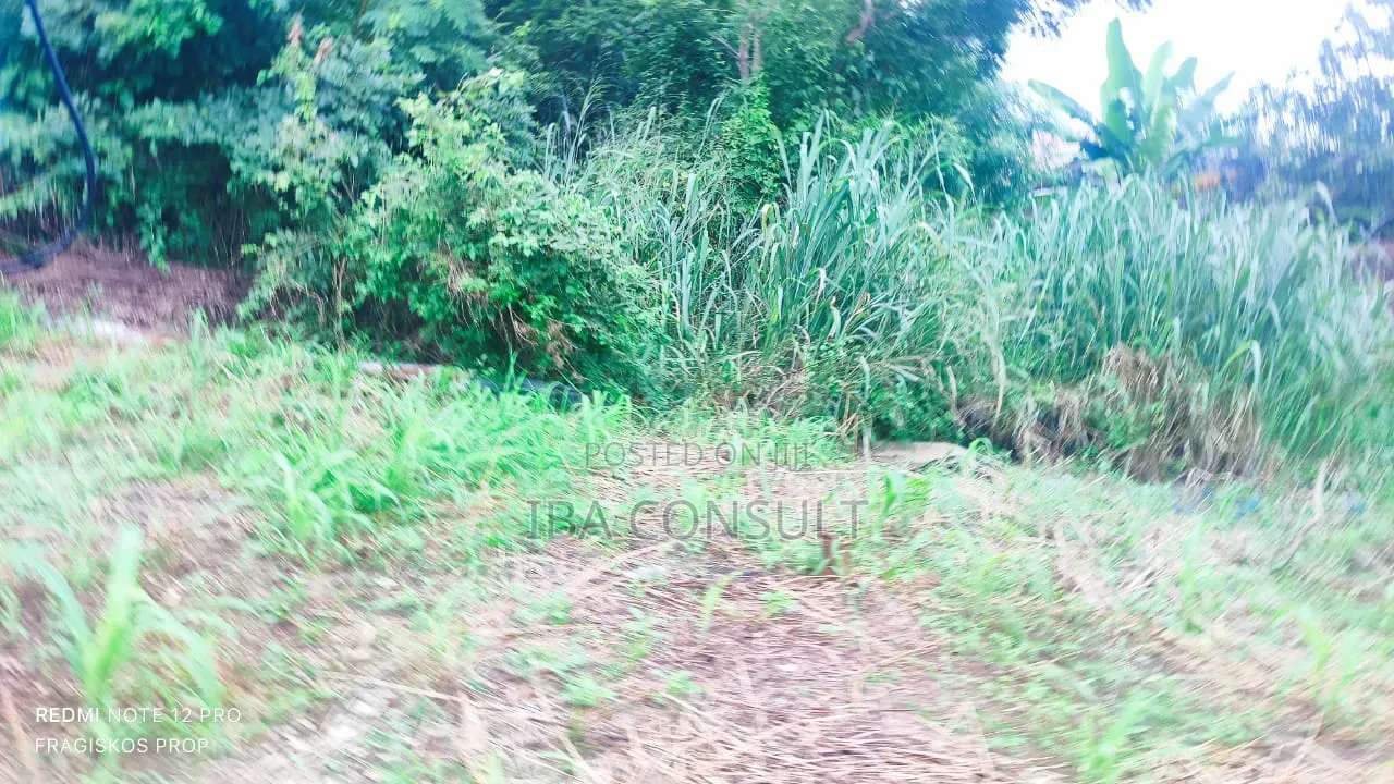 4 Plots for Sale at Afankor Asofan