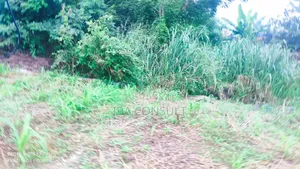 4 Plots for Sale at Afankor Asofan