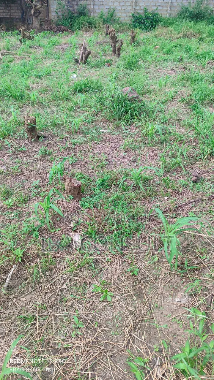 4 Plots for Sale at Afankor Asofan