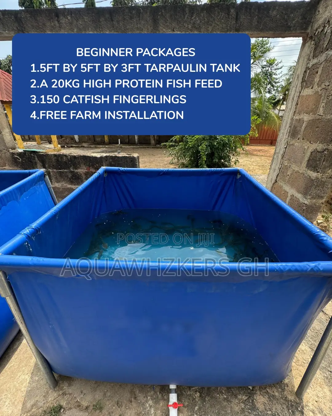 Beginner Fish Farming Package