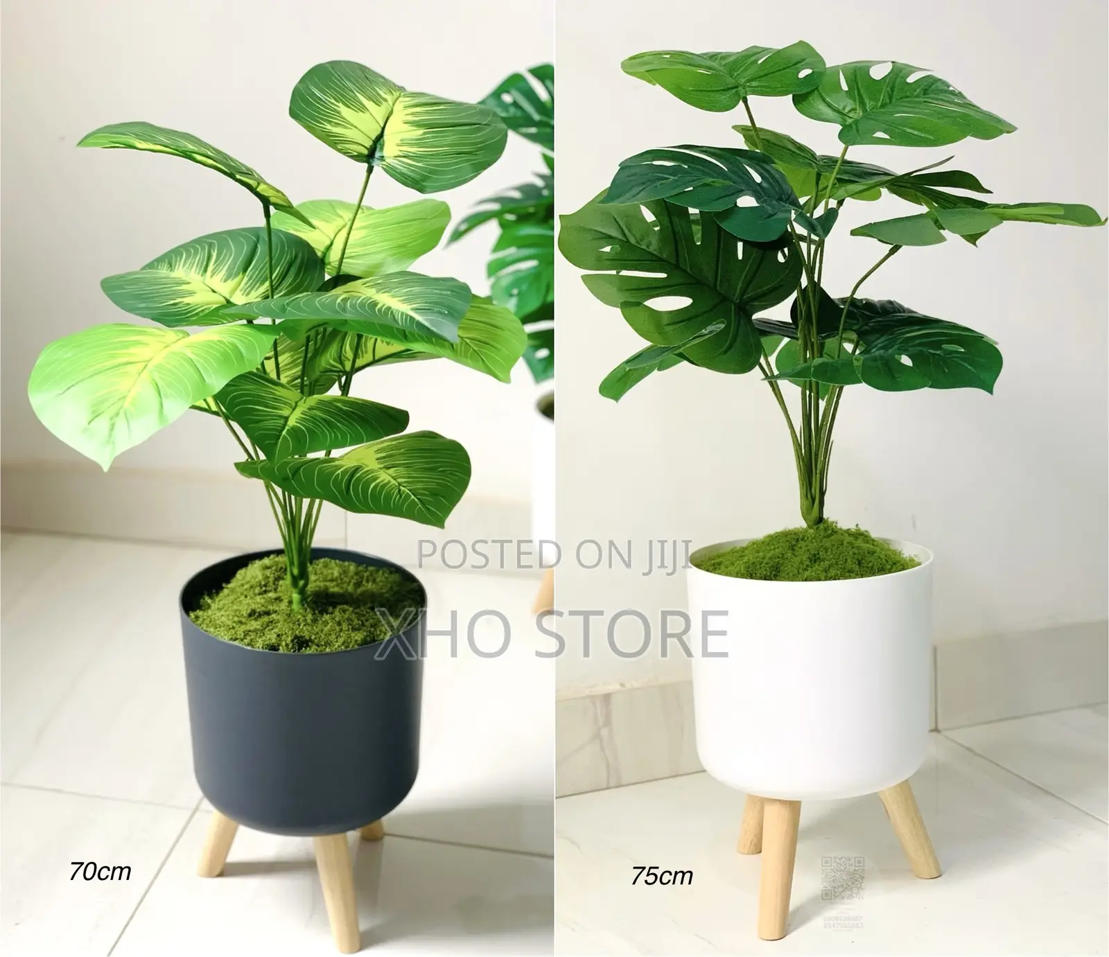 Artificial Monstera, Money Tree And Dieffenbachia Plants Standing Pots