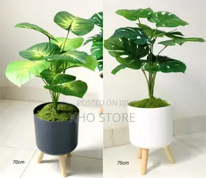 Artificial Monstera, Money Tree And Dieffenbachia Plants Standing Pots