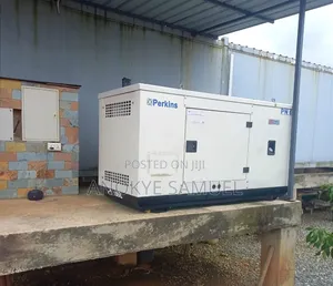 Perkins Generator/Plant