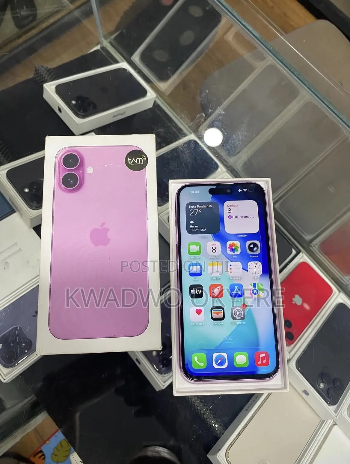 Apple iPhone 16 Plus 256 GB Pink
