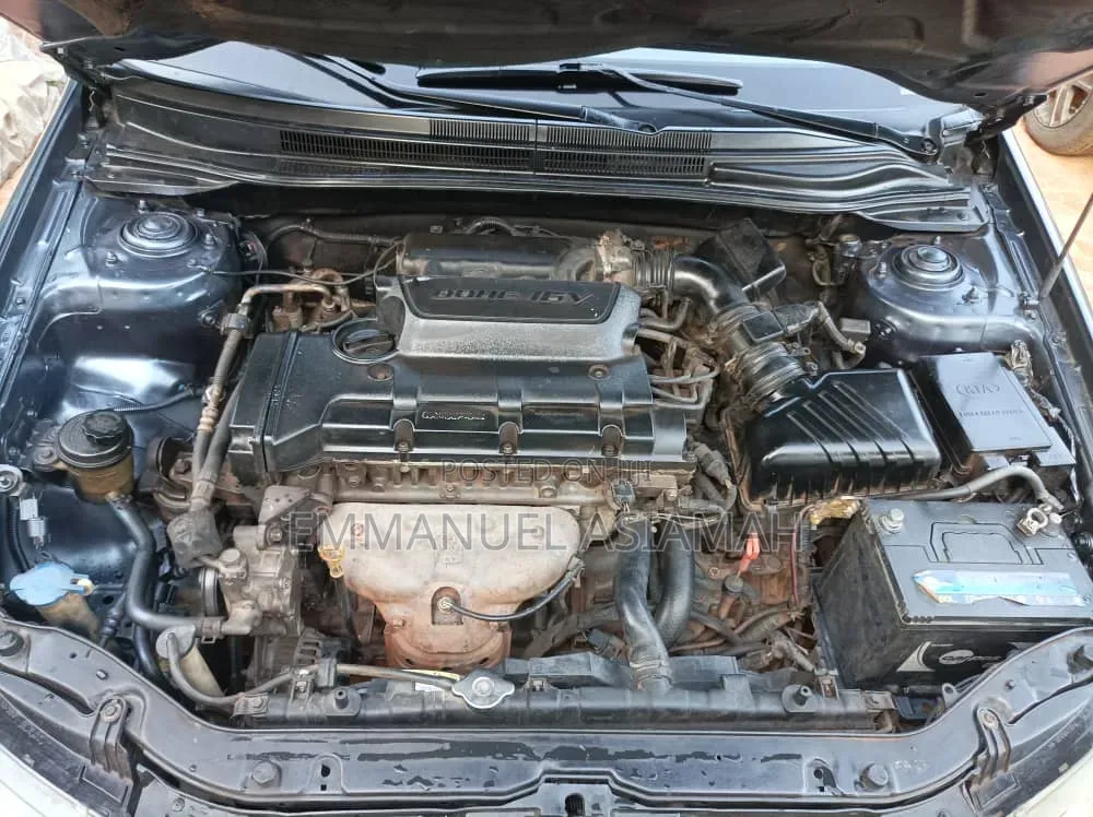 Kia Spectra 2009 Gray