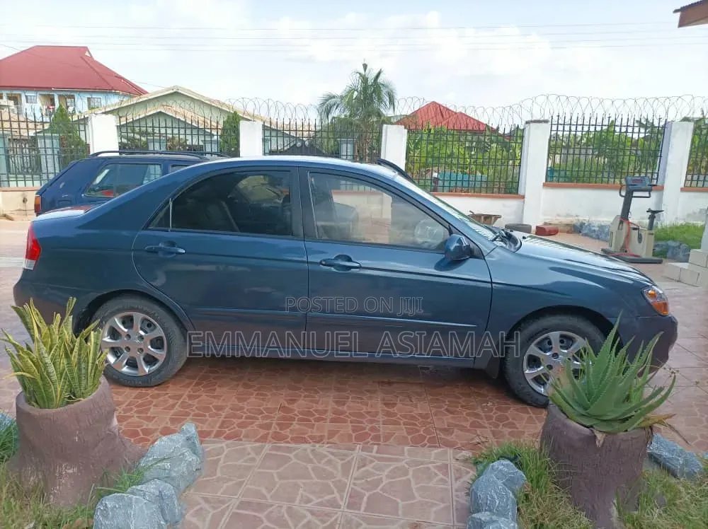 Kia Spectra 2009 Gray