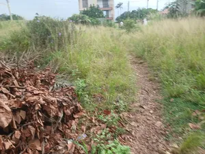 1 Acre Land for Sale at Nhyiaso