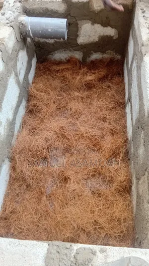 Biodigester