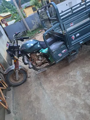 Luojia Cargo Tricycle 2020 Green