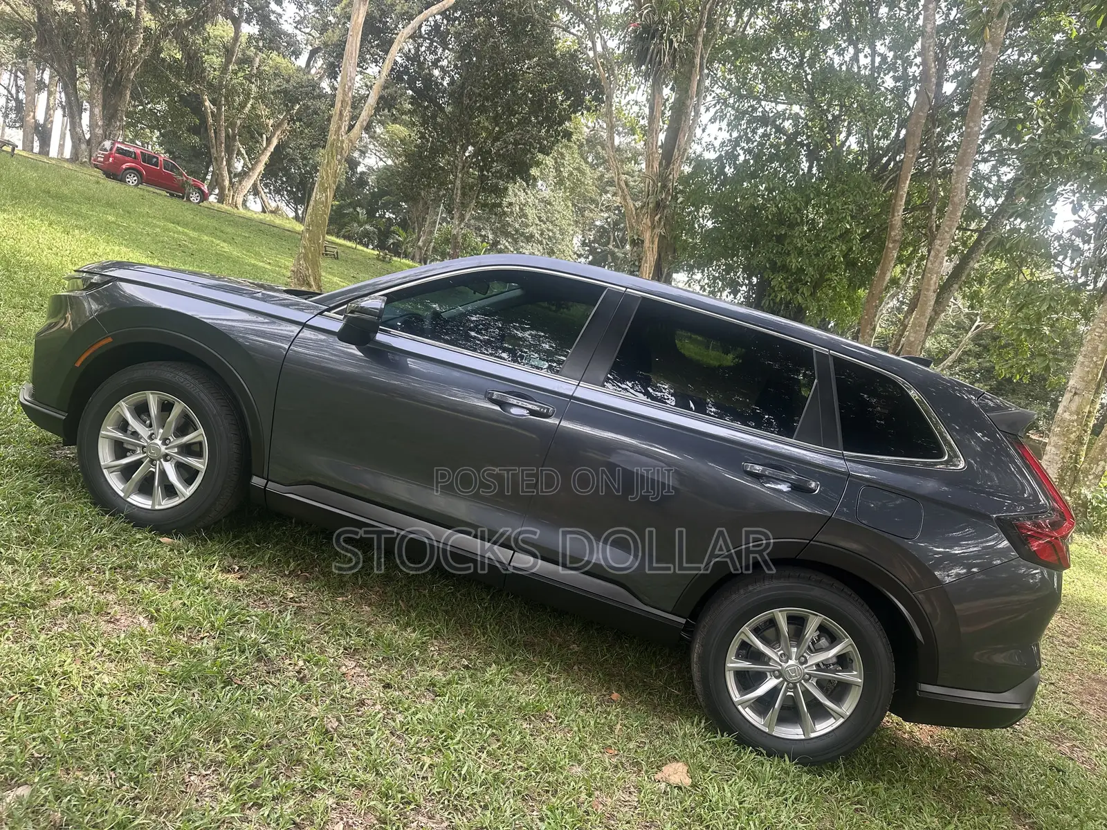 Honda CR-V EX AWD 2025 Gray