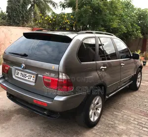 BMW X5 3.0i Sports Activity 2006 Gray