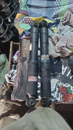Rav 4 2008 - 2017 Back Shocks Absorber