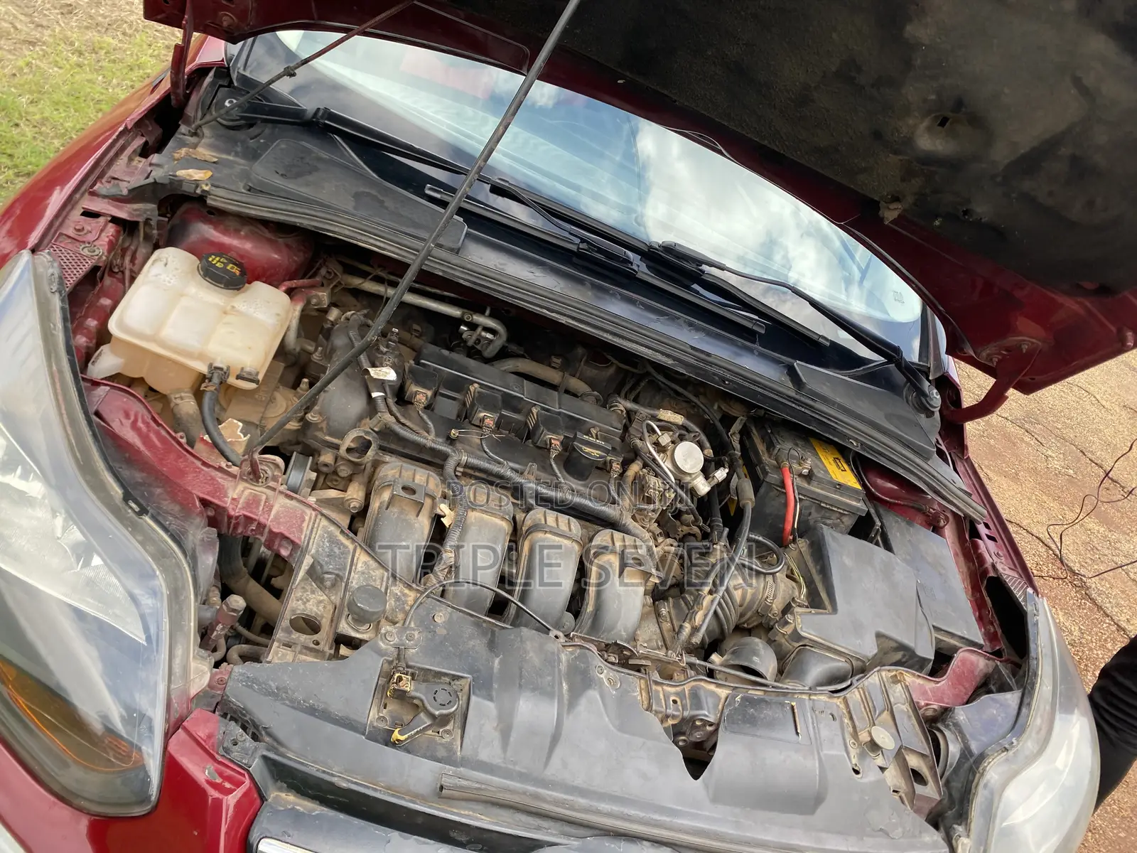 Ford Focus SE Sedan FWD (2.0L 4cyl 5M) 2013 Red