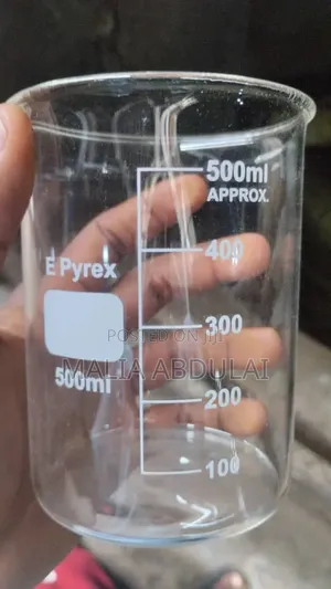 Beaker Glass 500nl