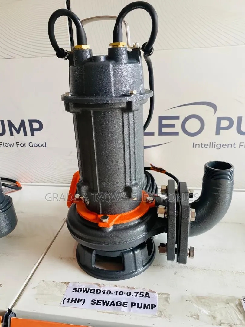 Accurate Leo Sewage Water Pumps