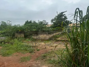 Litigation Free Land With Documents at Safo Asonomaso Nkwanta