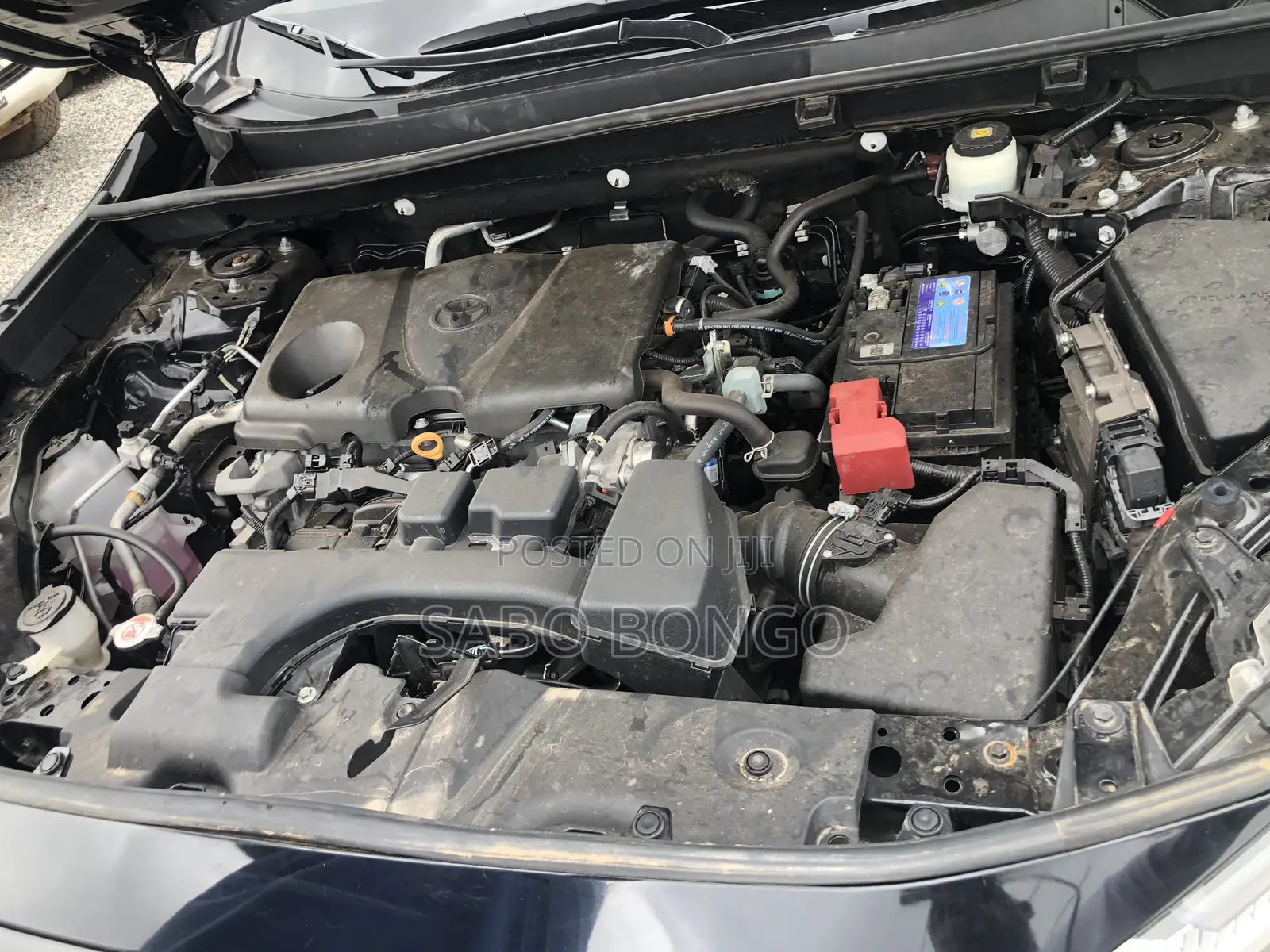 Toyota RAV4 XLE AWD 2024 Black