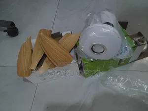 Flower Fan Light
