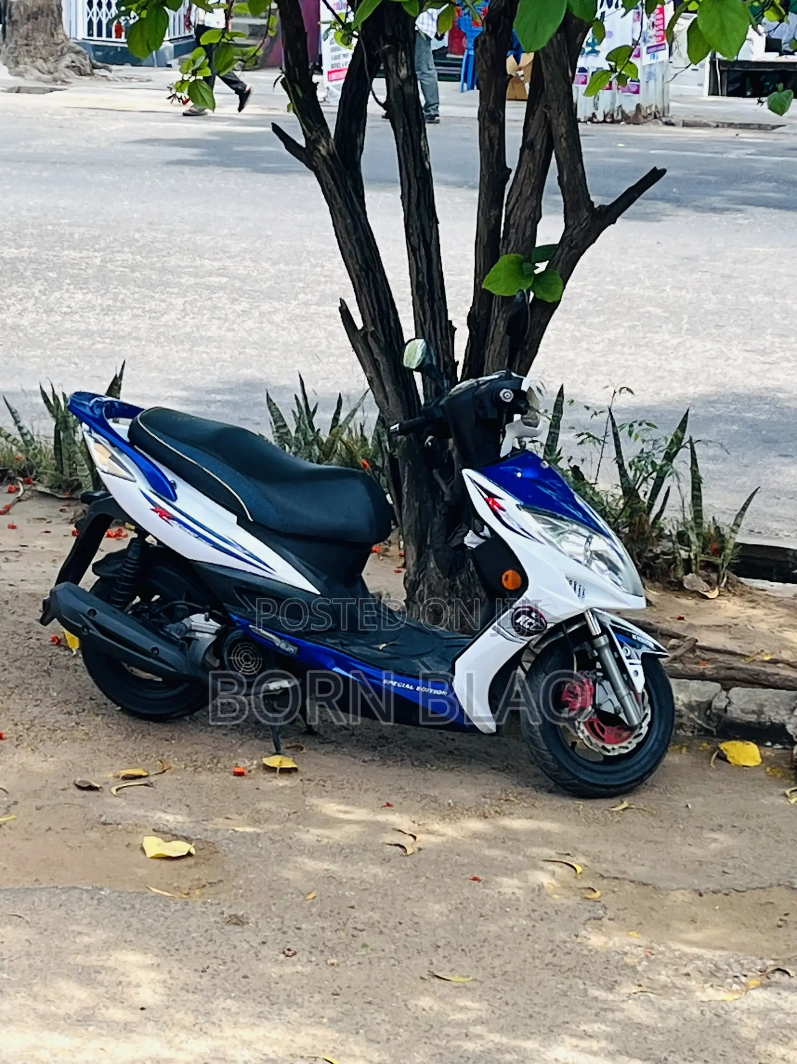 Kymco 2014 White