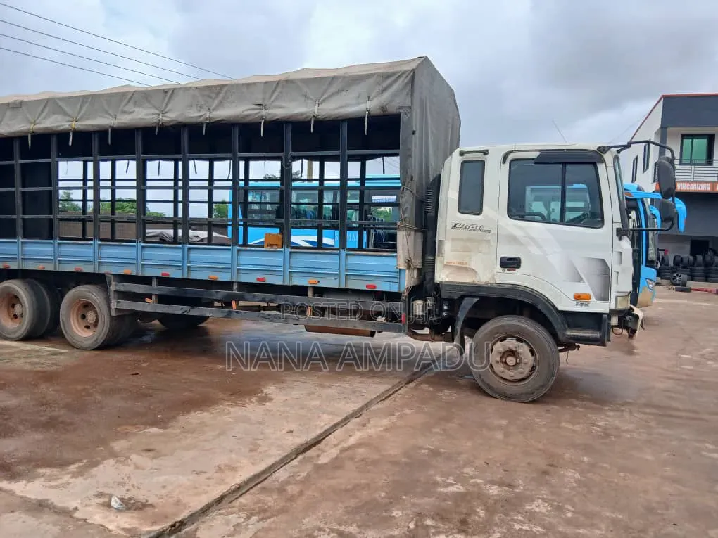 Hyundai Gold Double Axile