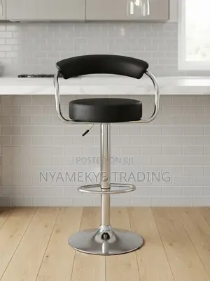 Adjustable Bar Stool