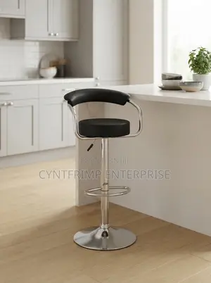 Adjustable Bar Stool