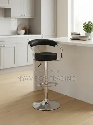 Adjustable Bar Stool