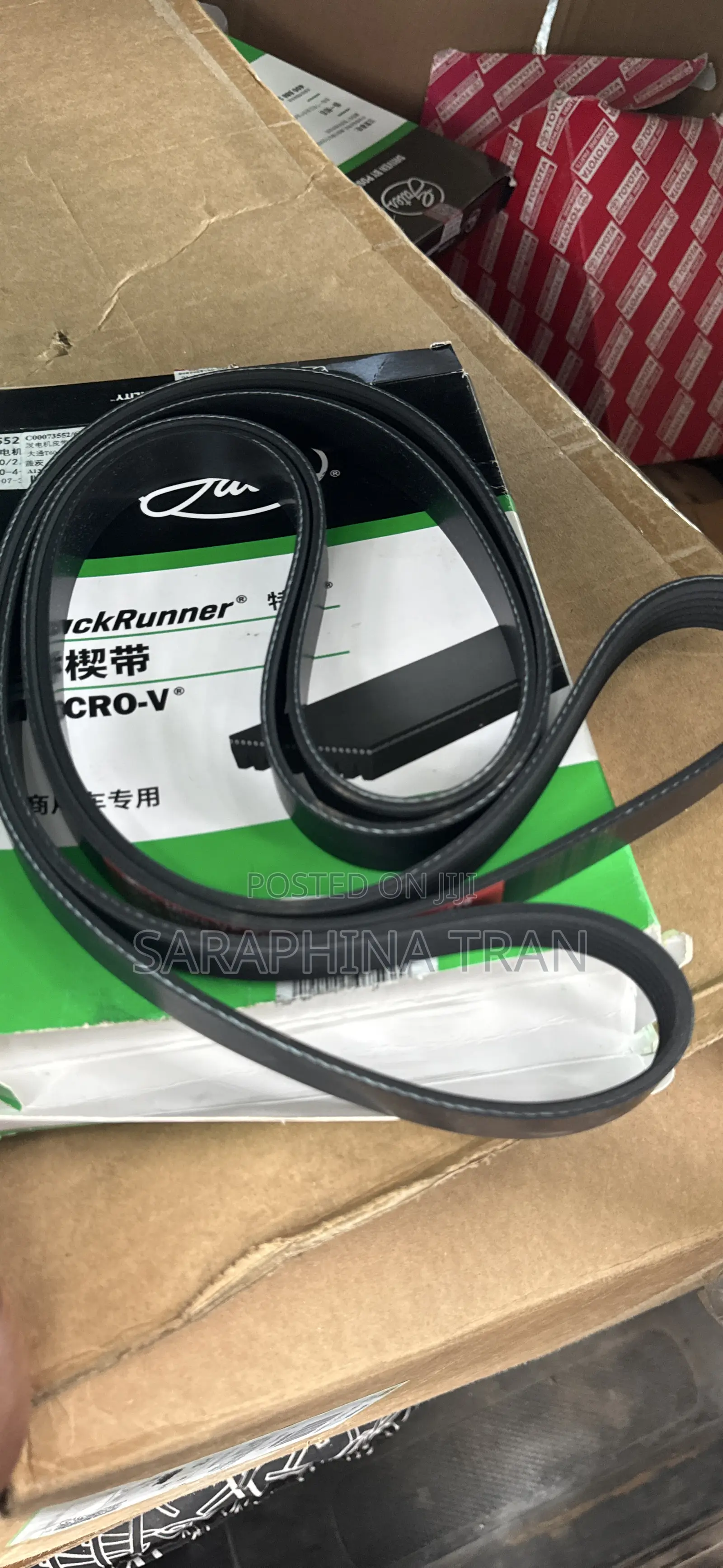 Drive Belt
