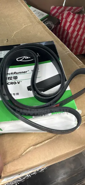 Drive Belt