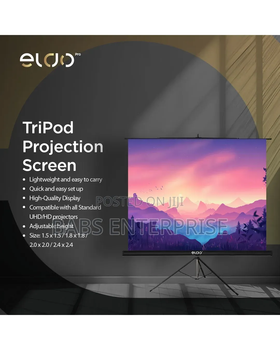 Eldo Electrical Screen Projector 300*300