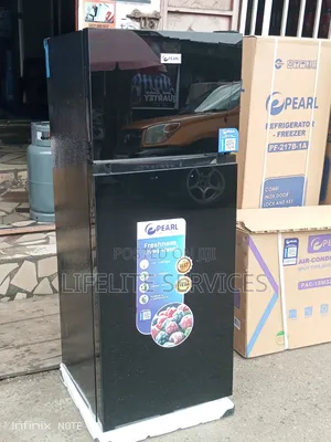 204 L Pearl Fridge Black Mirror-Modernize Ur Kitchen
