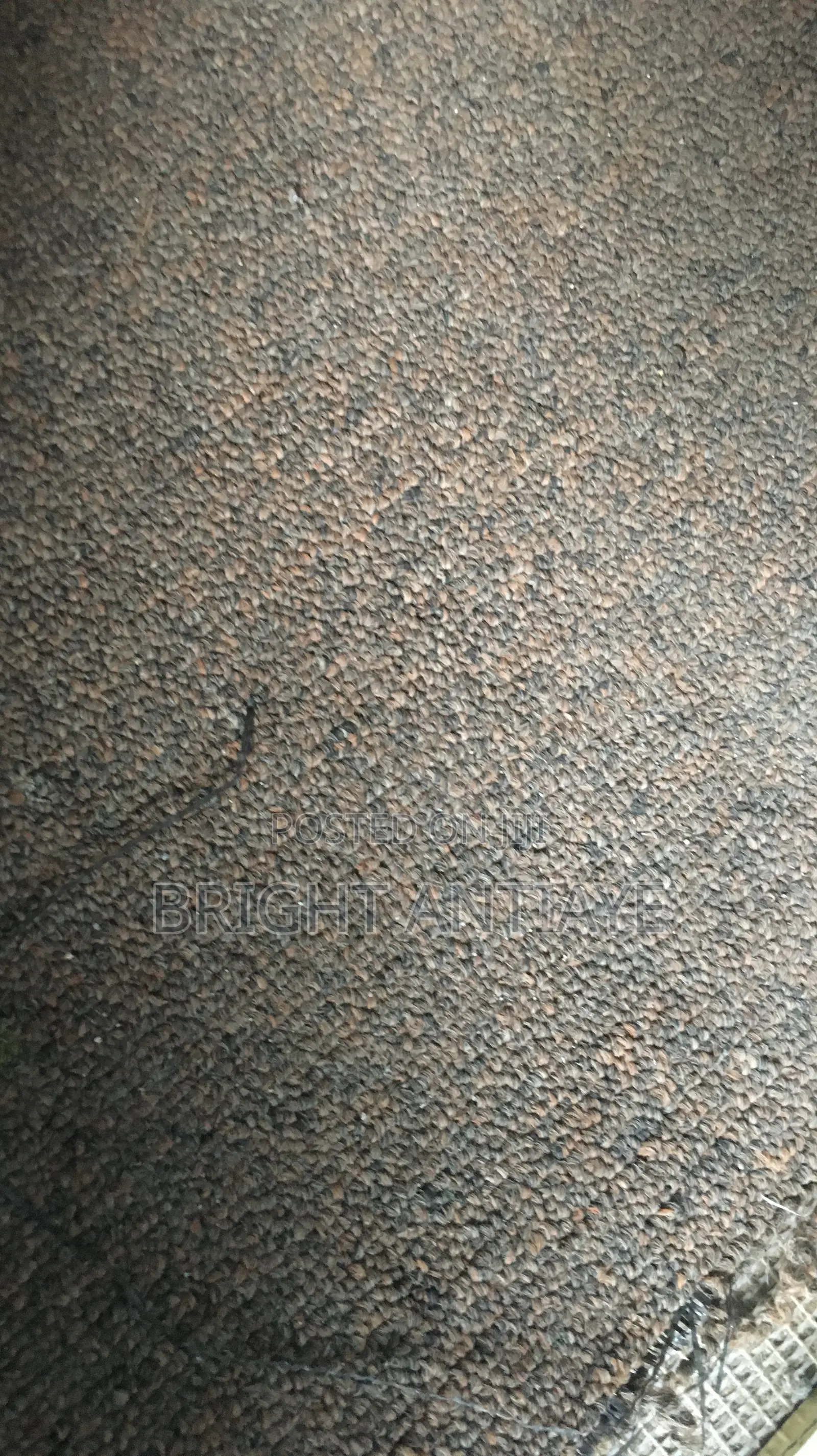 Woolen Capet