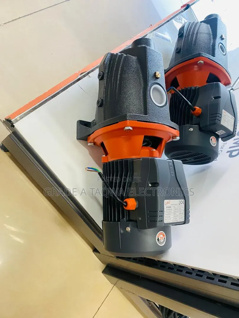 Leo 3hp Cast Water Pump