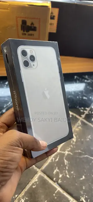 Apple iPhone 11 Pro Max 256 GB Gray