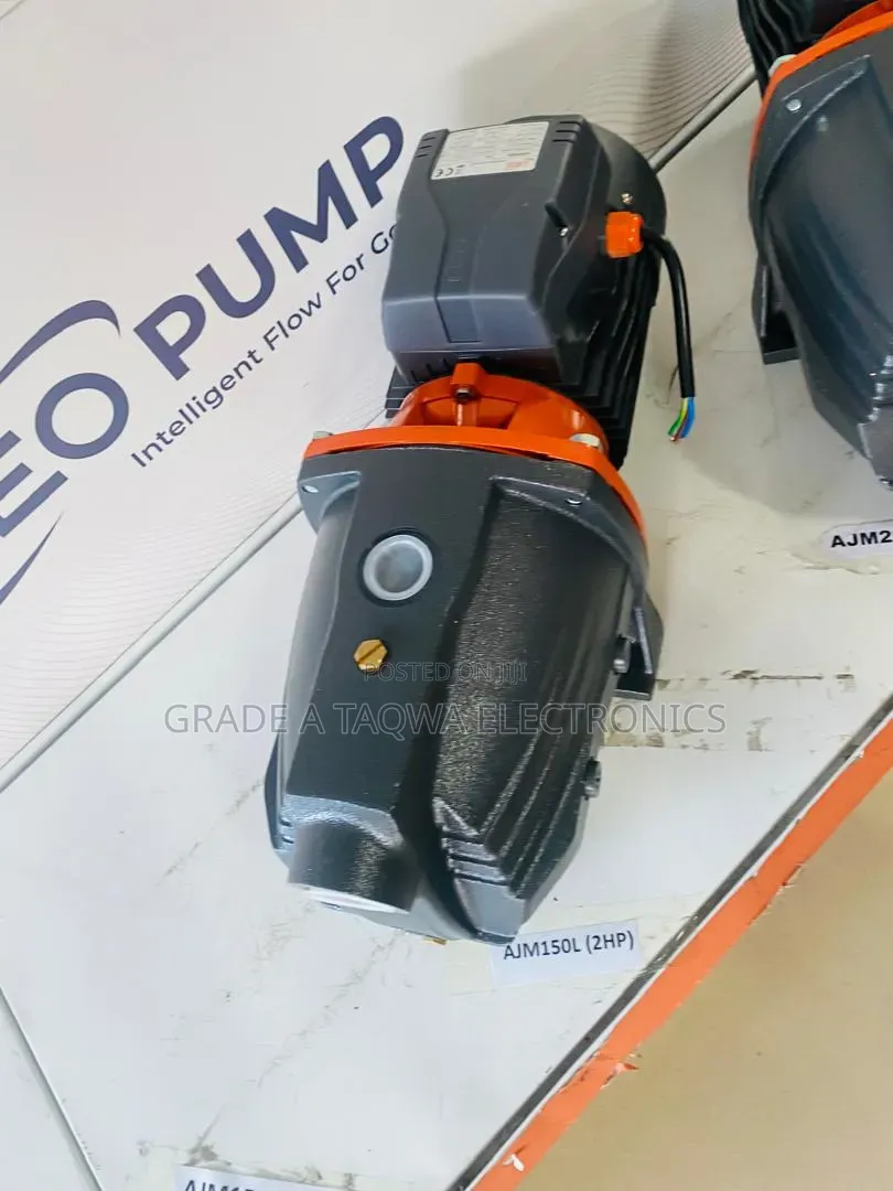 Leo 2hp Water Pump