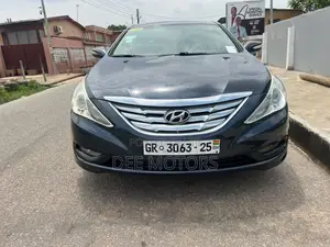 Hyundai Sonata 2014 Blue